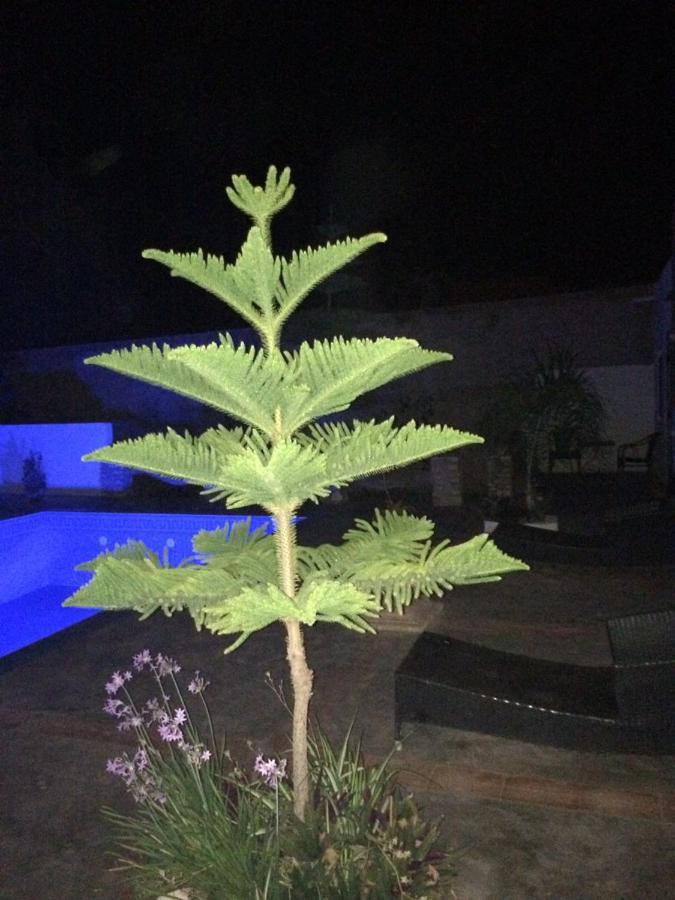 Chez Ali Villa Essaouira Eksteriør billede