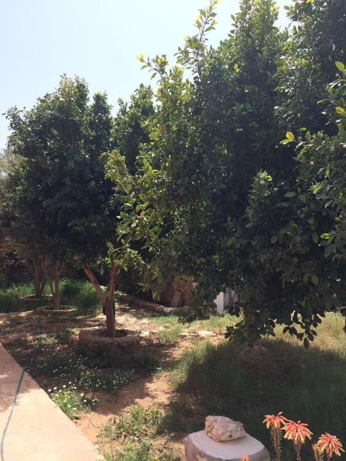 Chez Ali Villa Essaouira Eksteriør billede